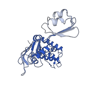 12686_7o11_B_v1-1
ABC transporter NosDFY, nucleotide-free in GDN, R-domain 1