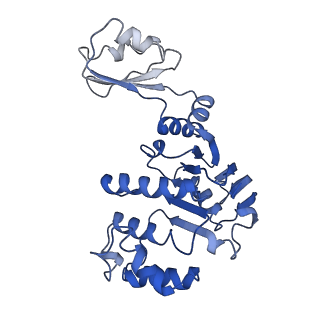 12686_7o11_C_v1-1
ABC transporter NosDFY, nucleotide-free in GDN, R-domain 1