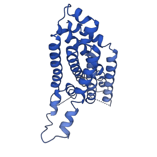 12686_7o11_E_v1-1
ABC transporter NosDFY, nucleotide-free in GDN, R-domain 1