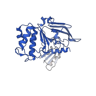 12688_7o13_B_v1-0
ABC transporter NosDFY, nucleotide-free in lipid nanodisc