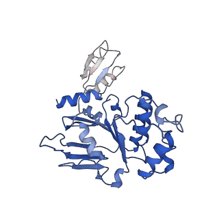 12688_7o13_C_v1-0
ABC transporter NosDFY, nucleotide-free in lipid nanodisc