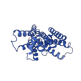 12688_7o13_D_v1-0
ABC transporter NosDFY, nucleotide-free in lipid nanodisc