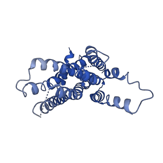 12688_7o13_E_v1-0
ABC transporter NosDFY, nucleotide-free in lipid nanodisc