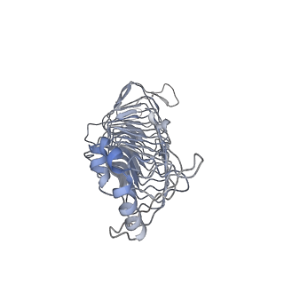 12692_7o17_A_v1-1
ABC transporter NosDFY E154Q, ATP-bound in lipid nanodisc