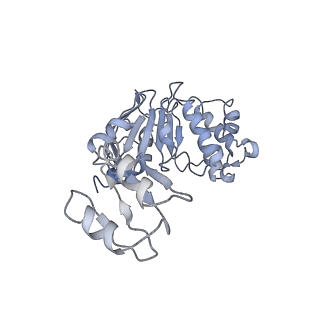 12692_7o17_B_v1-1
ABC transporter NosDFY E154Q, ATP-bound in lipid nanodisc