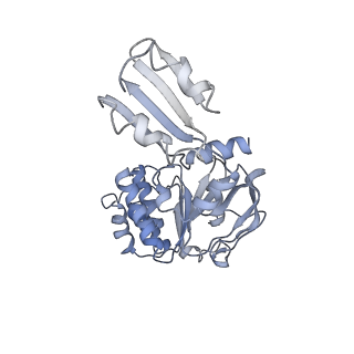 12692_7o17_C_v1-1
ABC transporter NosDFY E154Q, ATP-bound in lipid nanodisc