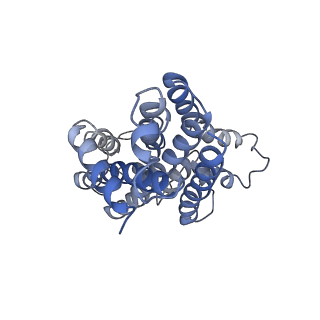 12692_7o17_D_v1-1
ABC transporter NosDFY E154Q, ATP-bound in lipid nanodisc