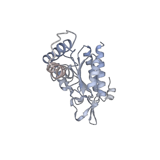 12693_7o19_AB_v1-2
Cryo-EM structure of an Escherichia coli TnaC-ribosome complex stalled in response to L-tryptophan