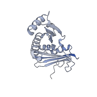12693_7o19_AC_v1-2
Cryo-EM structure of an Escherichia coli TnaC-ribosome complex stalled in response to L-tryptophan