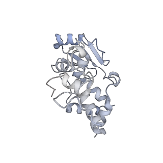 12693_7o19_AD_v1-2
Cryo-EM structure of an Escherichia coli TnaC-ribosome complex stalled in response to L-tryptophan