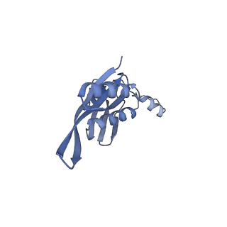 12693_7o19_AE_v1-2
Cryo-EM structure of an Escherichia coli TnaC-ribosome complex stalled in response to L-tryptophan