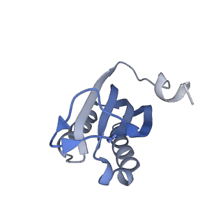 12693_7o19_AF_v1-2
Cryo-EM structure of an Escherichia coli TnaC-ribosome complex stalled in response to L-tryptophan