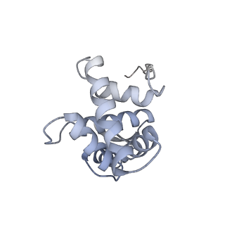 12693_7o19_AG_v1-2
Cryo-EM structure of an Escherichia coli TnaC-ribosome complex stalled in response to L-tryptophan