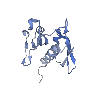 12693_7o19_AH_v1-2
Cryo-EM structure of an Escherichia coli TnaC-ribosome complex stalled in response to L-tryptophan