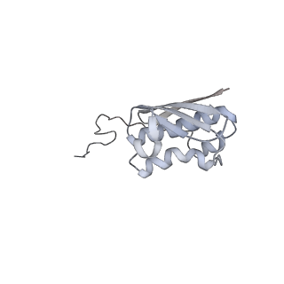 12693_7o19_AI_v1-2
Cryo-EM structure of an Escherichia coli TnaC-ribosome complex stalled in response to L-tryptophan