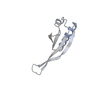 12693_7o19_AJ_v1-2
Cryo-EM structure of an Escherichia coli TnaC-ribosome complex stalled in response to L-tryptophan