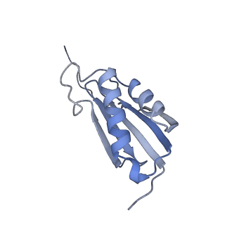 12693_7o19_AK_v1-2
Cryo-EM structure of an Escherichia coli TnaC-ribosome complex stalled in response to L-tryptophan