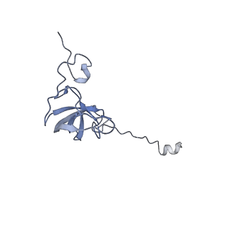 12693_7o19_AL_v1-2
Cryo-EM structure of an Escherichia coli TnaC-ribosome complex stalled in response to L-tryptophan
