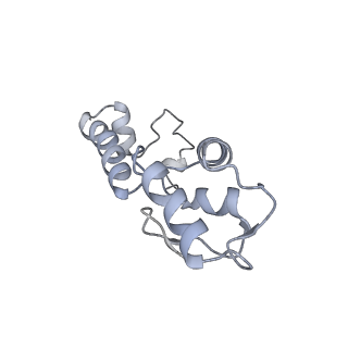 12693_7o19_AM_v1-2
Cryo-EM structure of an Escherichia coli TnaC-ribosome complex stalled in response to L-tryptophan