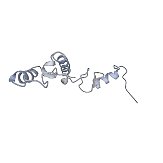 12693_7o19_AN_v1-2
Cryo-EM structure of an Escherichia coli TnaC-ribosome complex stalled in response to L-tryptophan