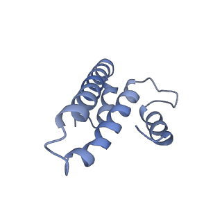 12693_7o19_AO_v1-2
Cryo-EM structure of an Escherichia coli TnaC-ribosome complex stalled in response to L-tryptophan