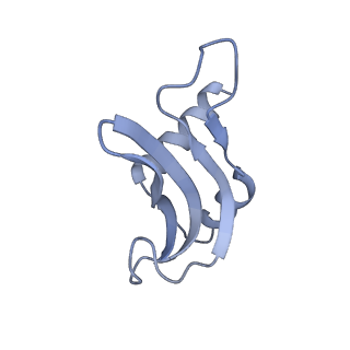 12693_7o19_AP_v1-2
Cryo-EM structure of an Escherichia coli TnaC-ribosome complex stalled in response to L-tryptophan