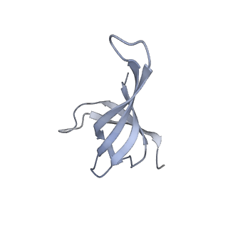 12693_7o19_AQ_v1-2
Cryo-EM structure of an Escherichia coli TnaC-ribosome complex stalled in response to L-tryptophan