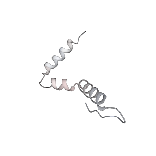 12693_7o19_AU_v1-2
Cryo-EM structure of an Escherichia coli TnaC-ribosome complex stalled in response to L-tryptophan