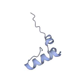 12693_7o19_B2_v1-2
Cryo-EM structure of an Escherichia coli TnaC-ribosome complex stalled in response to L-tryptophan