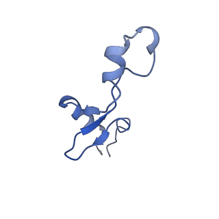 12693_7o19_B3_v1-2
Cryo-EM structure of an Escherichia coli TnaC-ribosome complex stalled in response to L-tryptophan