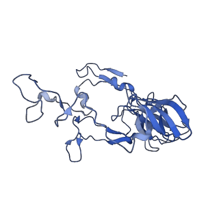 12693_7o19_BC_v1-2
Cryo-EM structure of an Escherichia coli TnaC-ribosome complex stalled in response to L-tryptophan