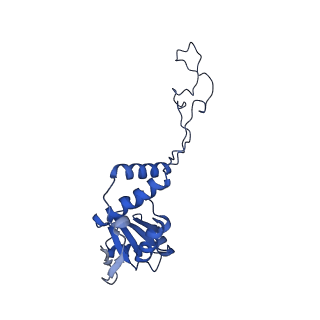 12693_7o19_BE_v1-2
Cryo-EM structure of an Escherichia coli TnaC-ribosome complex stalled in response to L-tryptophan