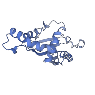 12693_7o19_BF_v1-2
Cryo-EM structure of an Escherichia coli TnaC-ribosome complex stalled in response to L-tryptophan