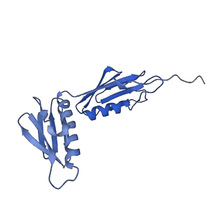 12693_7o19_BG_v1-2
Cryo-EM structure of an Escherichia coli TnaC-ribosome complex stalled in response to L-tryptophan