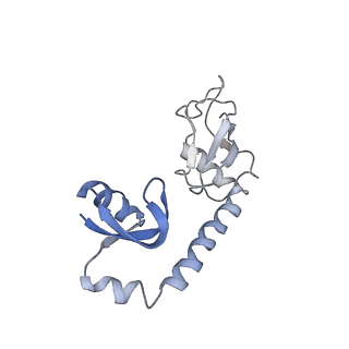 12693_7o19_BH_v1-2
Cryo-EM structure of an Escherichia coli TnaC-ribosome complex stalled in response to L-tryptophan