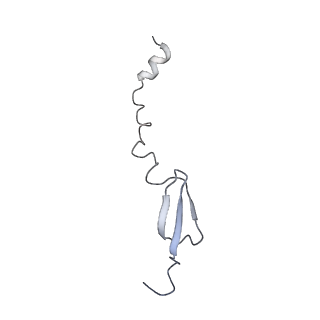 12693_7o19_BI_v1-2
Cryo-EM structure of an Escherichia coli TnaC-ribosome complex stalled in response to L-tryptophan