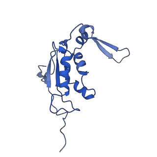 12693_7o19_BJ_v1-2
Cryo-EM structure of an Escherichia coli TnaC-ribosome complex stalled in response to L-tryptophan