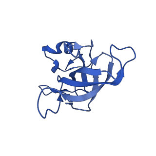 12693_7o19_BK_v1-2
Cryo-EM structure of an Escherichia coli TnaC-ribosome complex stalled in response to L-tryptophan