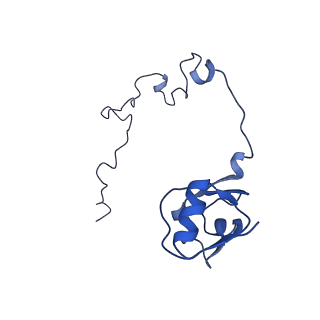 12693_7o19_BL_v1-2
Cryo-EM structure of an Escherichia coli TnaC-ribosome complex stalled in response to L-tryptophan