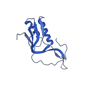 12693_7o19_BM_v1-2
Cryo-EM structure of an Escherichia coli TnaC-ribosome complex stalled in response to L-tryptophan