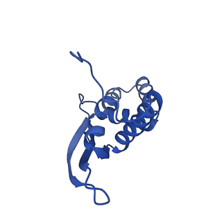 12693_7o19_BN_v1-2
Cryo-EM structure of an Escherichia coli TnaC-ribosome complex stalled in response to L-tryptophan