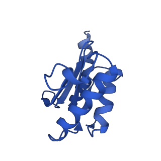 12693_7o19_BO_v1-2
Cryo-EM structure of an Escherichia coli TnaC-ribosome complex stalled in response to L-tryptophan
