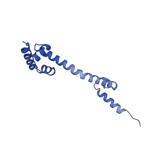 12693_7o19_BQ_v1-2
Cryo-EM structure of an Escherichia coli TnaC-ribosome complex stalled in response to L-tryptophan