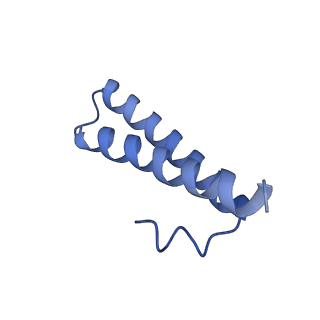 12693_7o19_BY_v1-2
Cryo-EM structure of an Escherichia coli TnaC-ribosome complex stalled in response to L-tryptophan