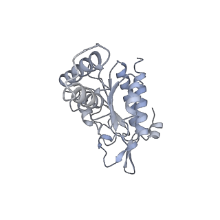 12695_7o1c_AB_v1-2
Cryo-EM structure of an Escherichia coli TnaC(R23F)-ribosome-RF2 complex stalled in response to L-tryptophan