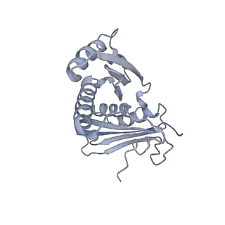 12695_7o1c_AC_v1-2
Cryo-EM structure of an Escherichia coli TnaC(R23F)-ribosome-RF2 complex stalled in response to L-tryptophan