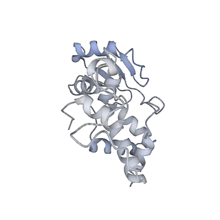 12695_7o1c_AD_v1-2
Cryo-EM structure of an Escherichia coli TnaC(R23F)-ribosome-RF2 complex stalled in response to L-tryptophan
