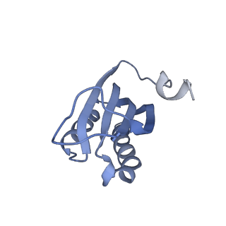12695_7o1c_AF_v1-2
Cryo-EM structure of an Escherichia coli TnaC(R23F)-ribosome-RF2 complex stalled in response to L-tryptophan