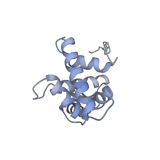 12695_7o1c_AG_v1-2
Cryo-EM structure of an Escherichia coli TnaC(R23F)-ribosome-RF2 complex stalled in response to L-tryptophan
