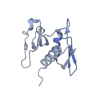 12695_7o1c_AH_v1-2
Cryo-EM structure of an Escherichia coli TnaC(R23F)-ribosome-RF2 complex stalled in response to L-tryptophan
